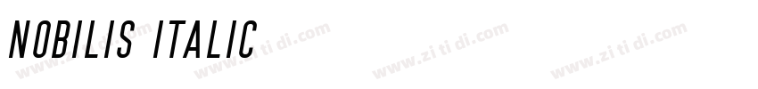 Nobilis Italic字体转换